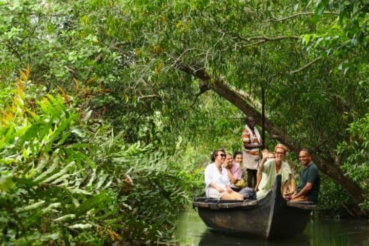 Kochi Backwater Tour: Non-Motorized Kettu Vallam & Village Canoe Cruise photo 2