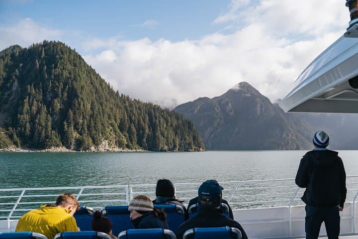 Captain's Choice Kenai Fjords Cruise from Seward: 7‑Hour Glacier & Wildlife Tour photo 4