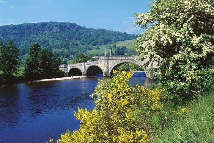Scotch Whisky Day Tour from Edinburgh: Tullibardine, Dewar's & Lindores Abbey photo 3
