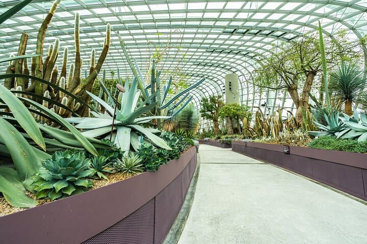 Self-Guided Tropical Sojourn: Singapore Hidden Enclaves Walking Tour photo 3