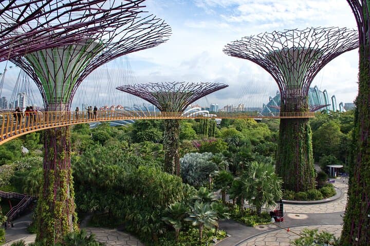 Self-Guided Tropical Sojourn: Singapore Hidden Enclaves Walking Tour