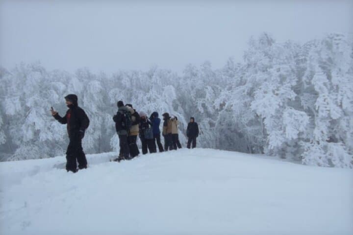 Snowshoe Mount Arioso: Guided Snowshoe Trek in the Lucanian Apennines photo 3
