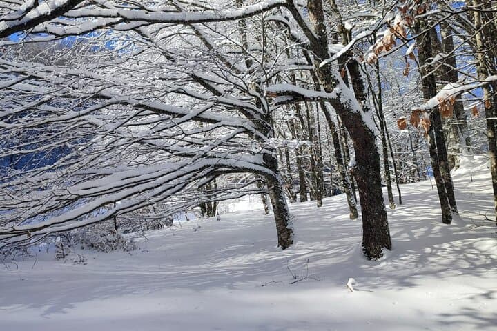 Snowshoe Mount Arioso: Guided Snowshoe Trek in the Lucanian Apennines photo 4