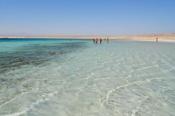 Sharm El Luli Beach Day Trip from Marsa Alam — Snorkel Pristine Red Sea Reefs photo 2