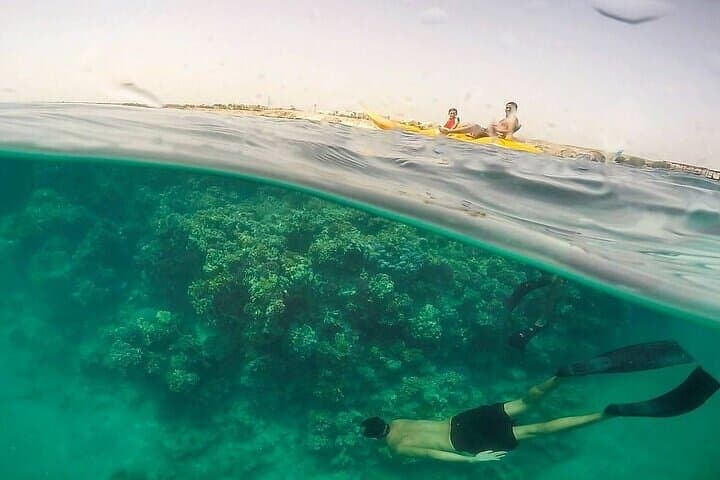 Sharm El Luli Beach Day Trip from Marsa Alam — Snorkel Pristine Red Sea Reefs photo 3