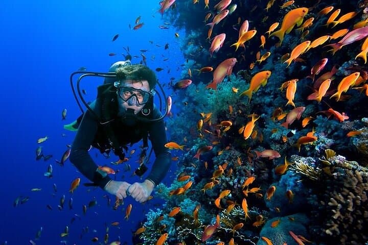 Sharm El Luli Beach Day Trip from Marsa Alam — Snorkel Pristine Red Sea Reefs photo 4