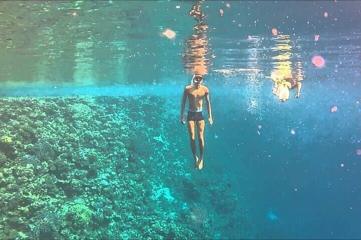 Sharm El Luli Beach Day Trip from Marsa Alam — Snorkel Pristine Red Sea Reefs photo 6