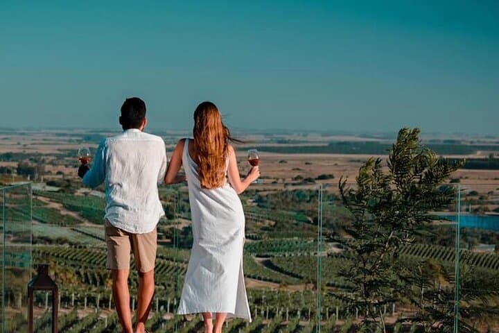 Bodega Garzón Wine Experience from Punta del Este — Day Trip to Uruguay's Top Winery photo 4