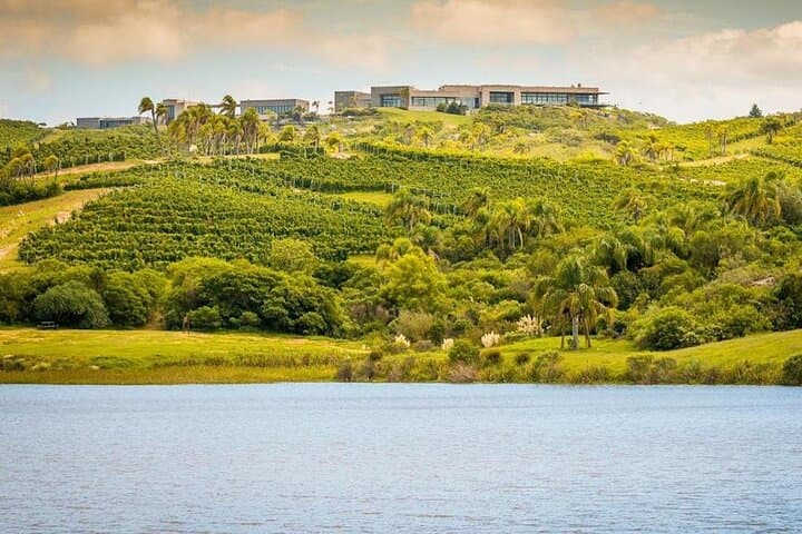 Bodega Garzón Wine Experience from Punta del Este — Day Trip to Uruguay's Top Winery photo 5