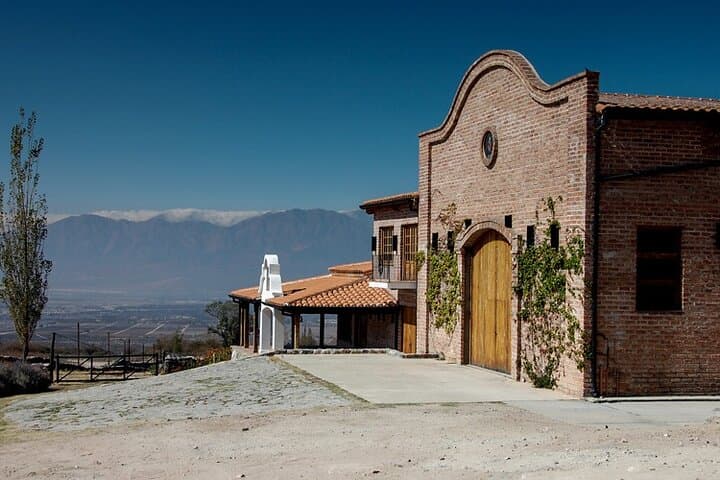 Salta to Cafayate: 3-Day High-Altitude Torrontés Wine Experience (Private) photo 6