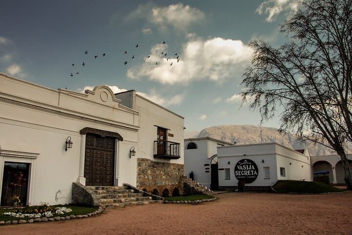 Salta to Cafayate: 3-Day High-Altitude Torrontés Wine Experience (Private)