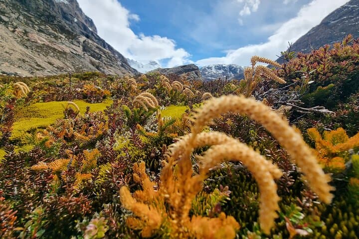 Electric Valley Alpine Crossing: Trek to Pollone Lagoon & Fitz Roy North Face Views photo 5