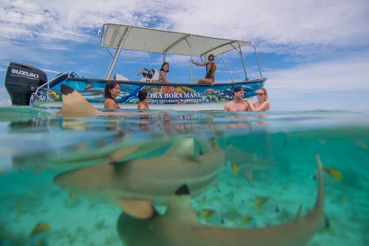 Bora Bora Full-Day Lagoon Excursion to Motu Fanfan and Coral Garden photo 1