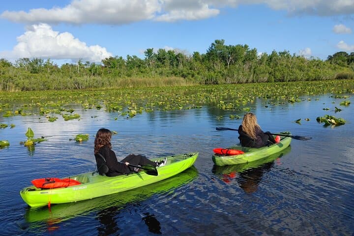 Blue Springs Manatee Kayak Tour on the St. Johns River — Guided Day Trip from Orlando photo 2