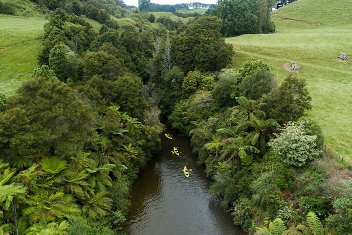 Daytime Canyon Kayak Tour on the Waikato River — Paddle Horahora & Lake Karāpiro photo 3
