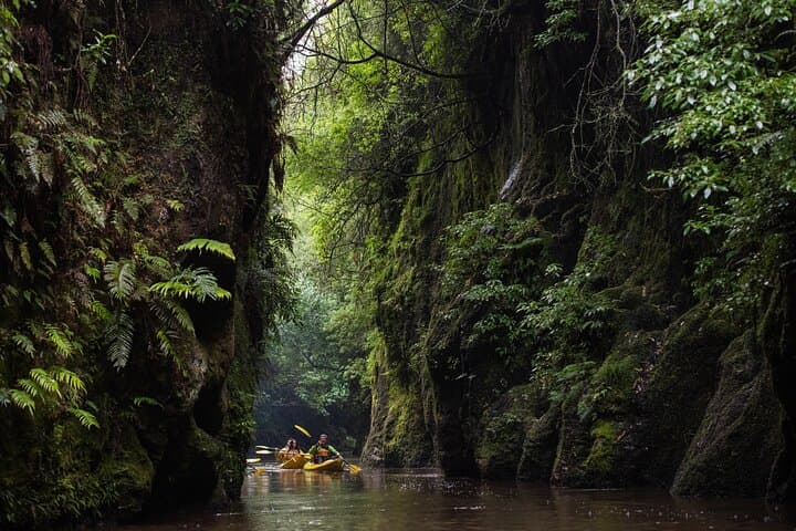 Daytime Canyon Kayak Tour on the Waikato River — Paddle Horahora & Lake Karāpiro photo 5