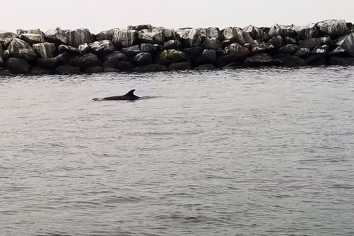 Discover the Tranquil Waters of Marina del Rey photo 6
