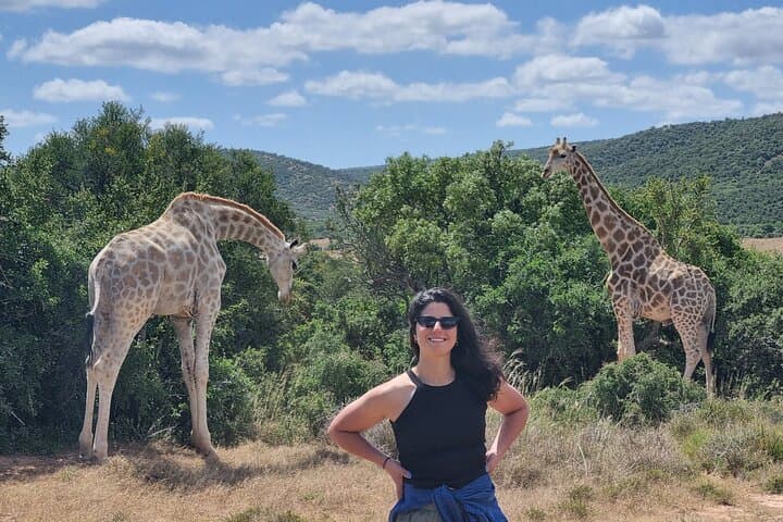 Schotia Game Reserve Full-Day Safari and Giraffe Walk from Port Elizabeth photo 1