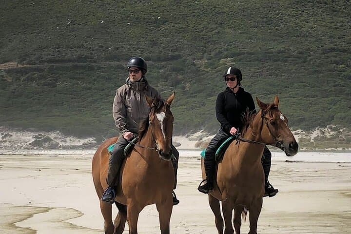 Cape Town Beach Horse Ride: Ocean & Mountain Trails with Hotel Pickup photo 5