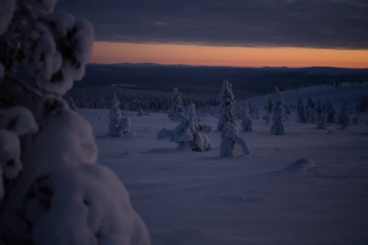Ivalo Wilderness Adventure by Snowmobile Sleigh to Hammastunturi photo 3