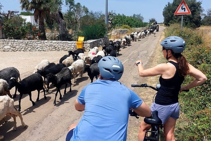 Lecce E‑Bike Half‑Day to Birra Salento: Country Roads, Brewery Tour & Tasting photo 2