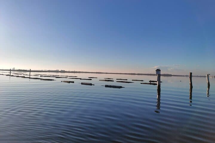 Private Chioggia Boat Tour: Explore Hidden Corners of the Venetian Lagoon photo 2