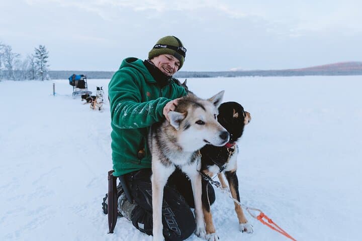 Kiruna Dog Sledding Adventure: 7-Hour Arctic Sled Tour from Abisko photo 3