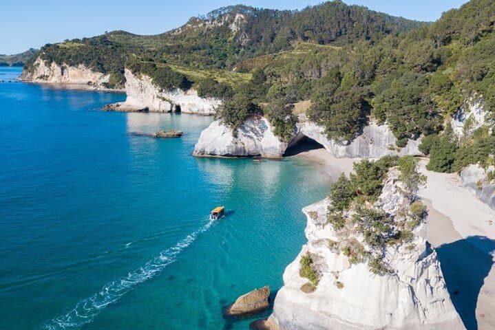 Full-Day Coromandel Adventure: Cathedral Cove, Zipline & Glass-Bottom Boat photo 2