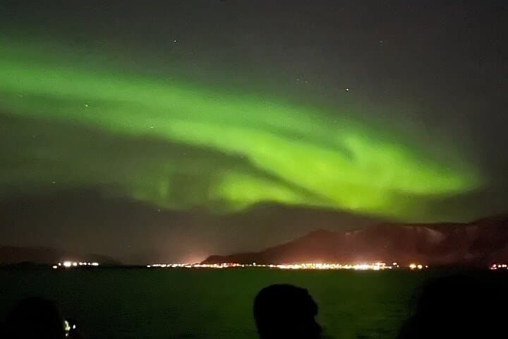 Aurora by Boat: Reykjavik Northern Lights Cruise photo 3