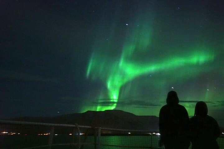 Aurora by Boat: Reykjavik Northern Lights Cruise photo 5