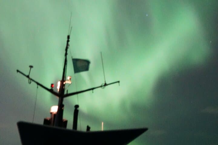 Aurora by Boat: Reykjavik Northern Lights Cruise photo 6