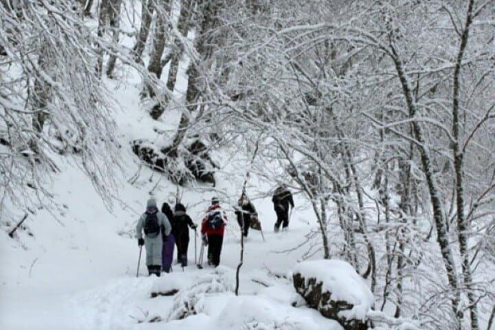Snowshoeing the Pollino National Park: Winter Trek Through Calabria's High Forests photo 4