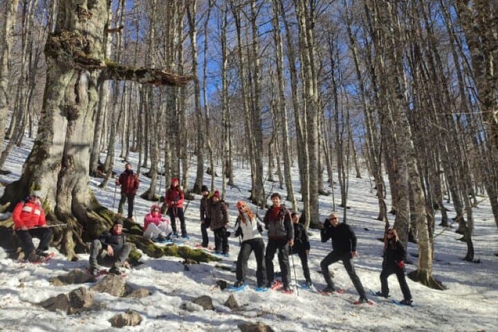 Snowshoeing the Pollino National Park: Winter Trek Through Calabria's High Forests photo 5