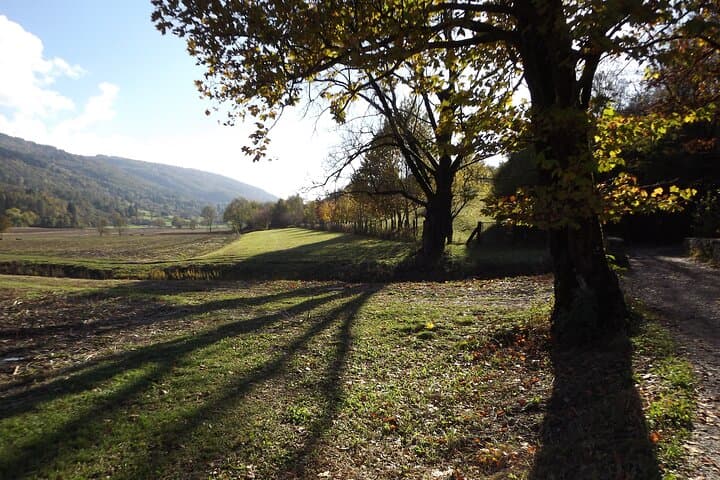 Charge Through Valbelluna: A 4-Hour Guided eMTB Tour from Feltre photo 2