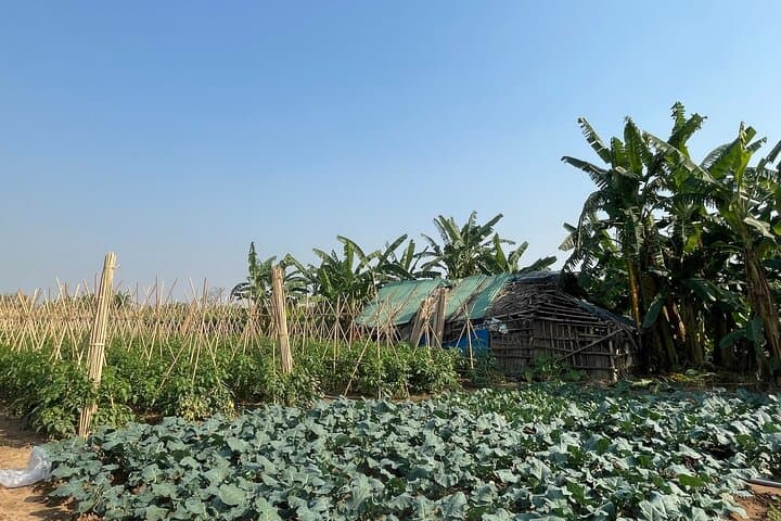 Jeep Through Vietnam’s Red River Delta: Half-Day Heritage Ride from Hanoi photo 6