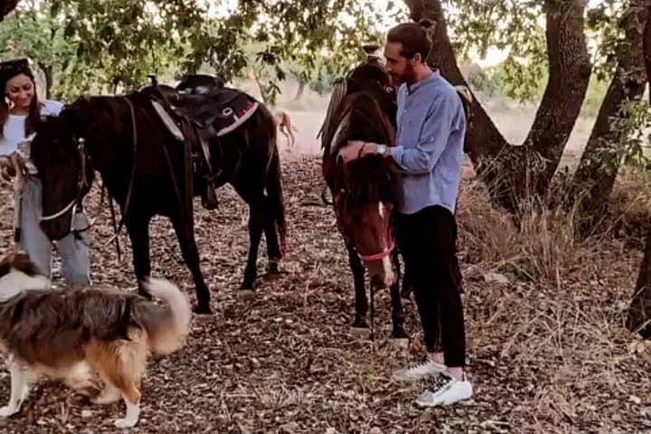 Riding the Cart Tracks: Horseback and Hike through Ruvo di Puglia’s First Plateau photo 1