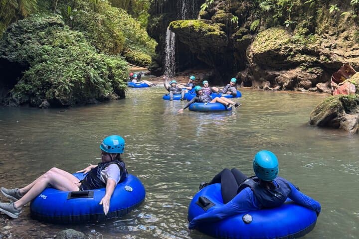 Tanama River Cave Tubing: A 5–6 Hour Eco-Adventure in Puerto Rico photo 4