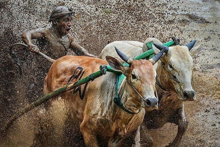 Explore Minangkabau: 4-Day Private West Sumatra Cultural & Harau Valley Trek photo 4