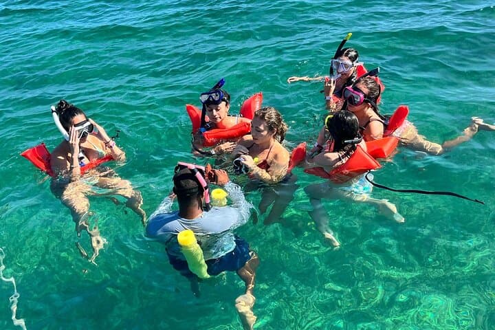 Nassau Pig Island and Snorkeling Quick Tour: Swim with Pigs & Reef Snorkel