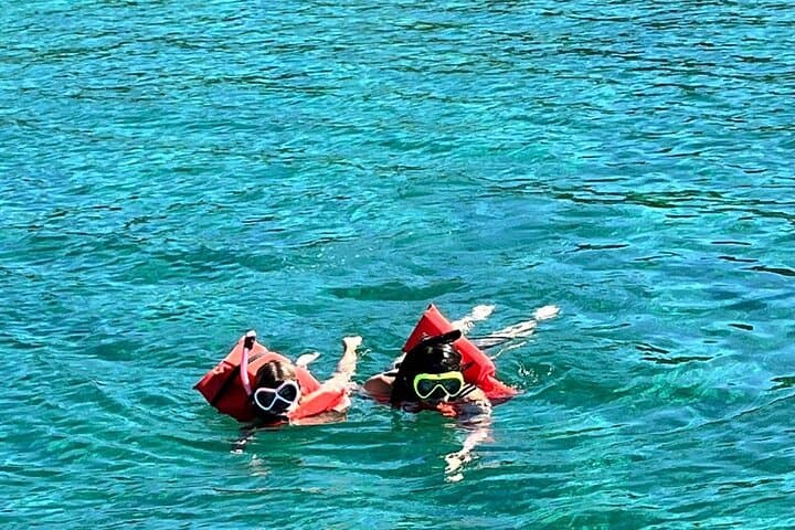 Nassau Pig Island and Snorkeling Quick Tour: Swim with Pigs & Reef Snorkel photo 3