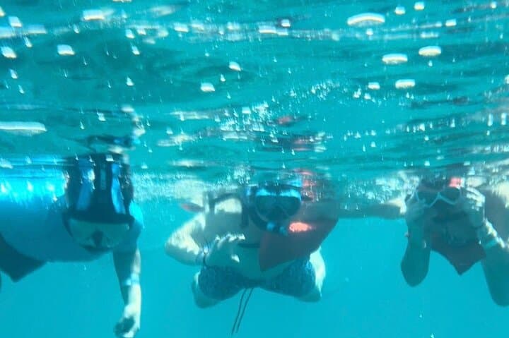Nassau Pig Island and Snorkeling Quick Tour: Swim with Pigs & Reef Snorkel photo 4