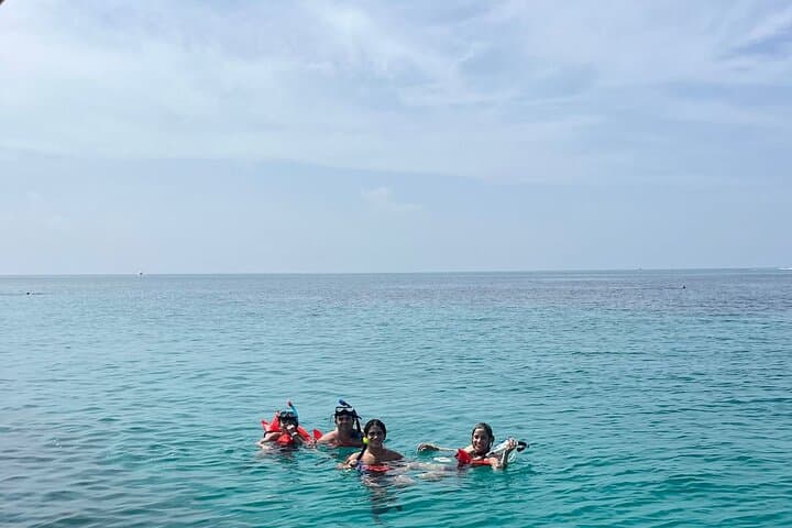 Nassau Pig Island and Snorkeling Quick Tour: Swim with Pigs & Reef Snorkel photo 5