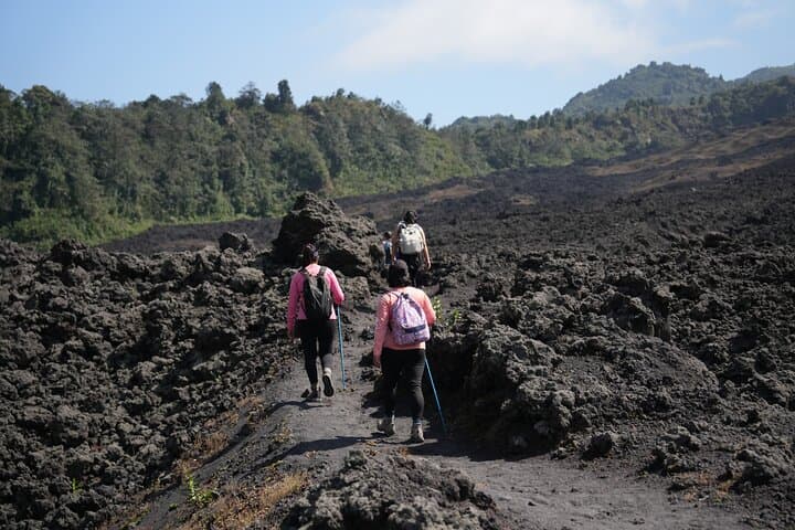 Private Pacaya Volcano Hike from Antigua: Marshmallows, Lava Views & Horse Option
