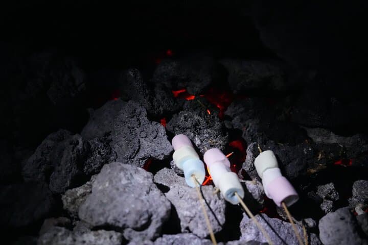 Private Pacaya Volcano Hike from Antigua: Marshmallows, Lava Views & Horse Option photo 5