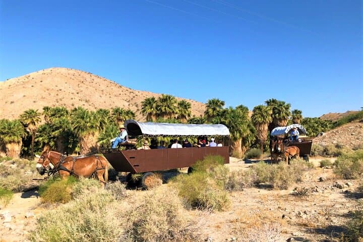 Covered Wagon Adventure & BBQ in Palm Desert — Mule-Drawn Sonoran Desert Tour photo 2
