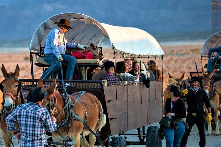 Covered Wagon Adventure & BBQ in Palm Desert — Mule-Drawn Sonoran Desert Tour photo 5