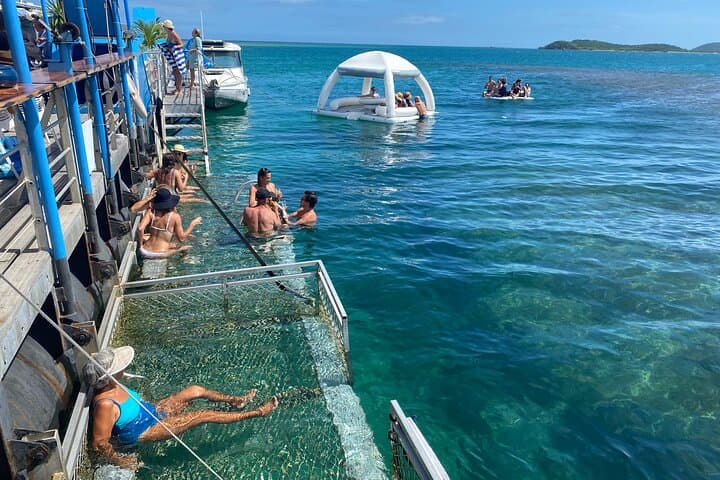 Floating Seafood Ponton & Snorkel Trip to Tamanou Reef (All Meals & Transport) photo 1