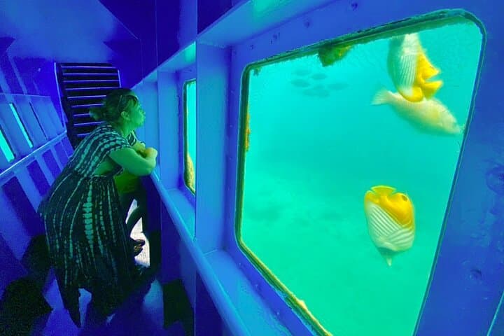 Floating Seafood Ponton & Snorkel Trip to Tamanou Reef (All Meals & Transport) photo 2
