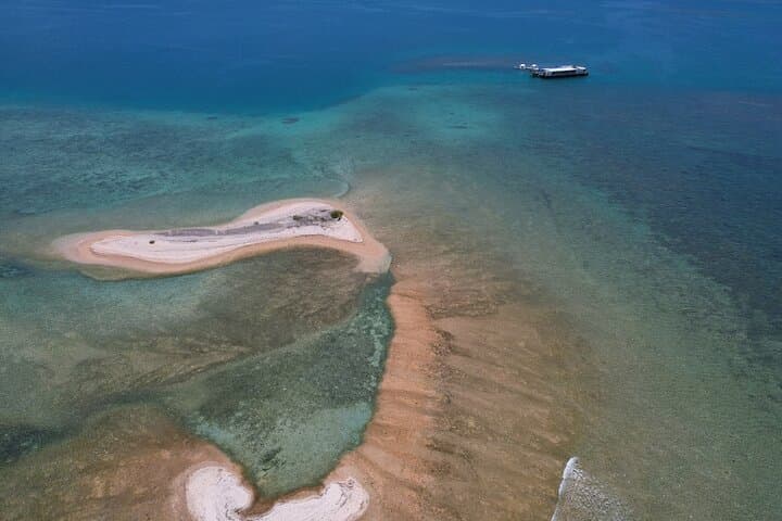 Floating Seafood Ponton & Snorkel Trip to Tamanou Reef (All Meals & Transport) photo 3