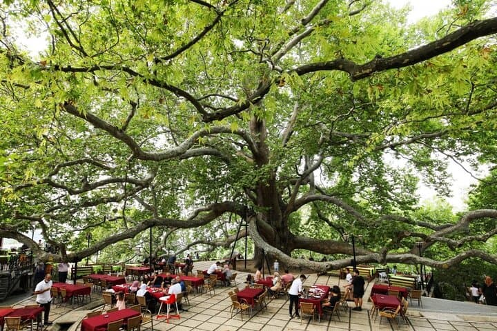 Bursa & Uludağ Full-Day Tour: Cable Car, Covered Bazaar & Mountain Lunch photo 2